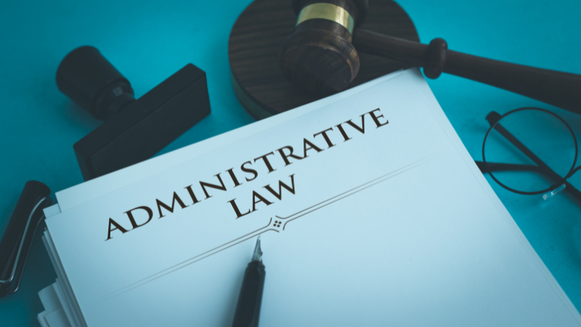  Direito administrativo: princípios, licitações, contratos administrativos e responsabilidade do Estado