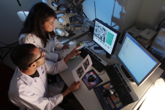 O Instituto IBDSocial mostra como laboratórios internos reduzem prazos e tornam diagnósticos mais ágeis.